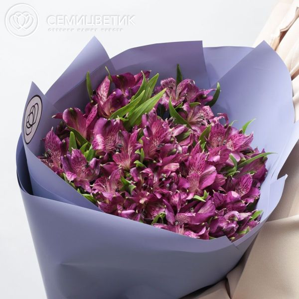 Букет из 15 фиолетовых альстромерий
