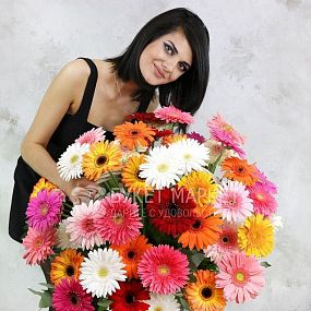 Композиция из 51 герберы в плетенной корзине