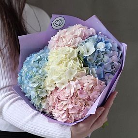 Современный букет  из 5 гортензий нежный микс