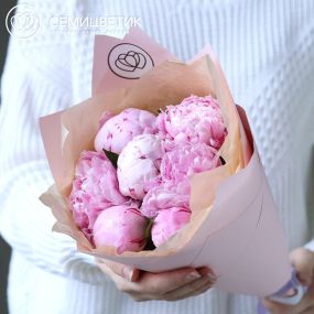 Букет из 7 розовых пионов Standart Plus