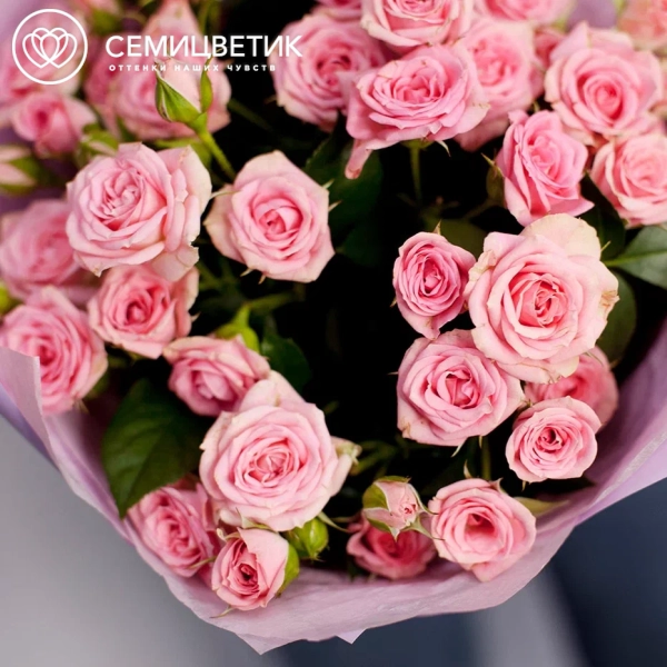 Букет из 15 розовых кустовых роз 40 см (Кения)