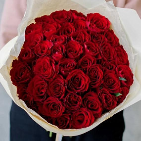 41 красная роза (Кения) 40 см Standart