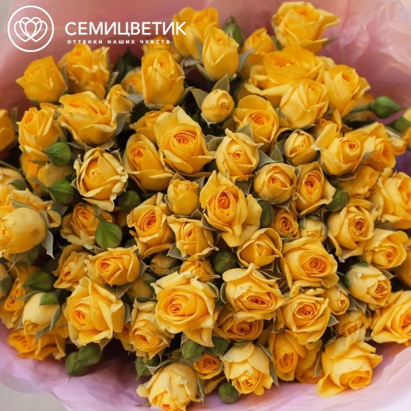 Букет из 19 желтых кустовых роз 40 см (Кения) в розовой пленке