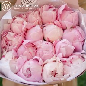 Букет из 15 розовых пионов Premium в розовой пленке