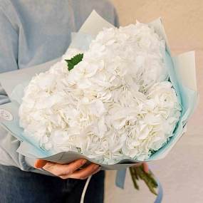 Букет из 7 белых гортензий в белой пленке