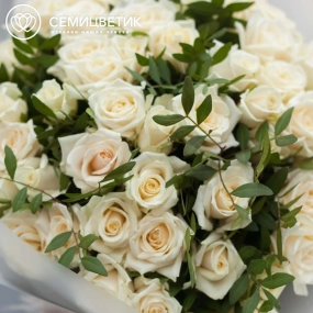 Букет из 51 белой розы 35-40 см (Россия) с фисташкой в прозрачной пленке