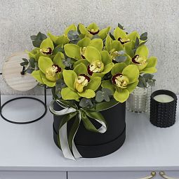 11 зеленых орхидей с эвкалиптом в коробке "Тропические бабочки"