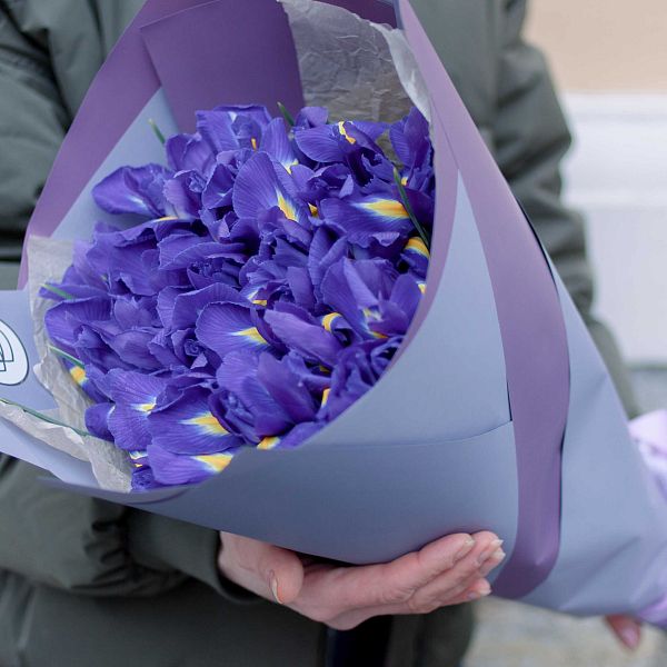 Букет из 25 синих ирисов