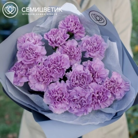 Букет из 15 сиреневых (лунных) гвоздик в голубой пленке