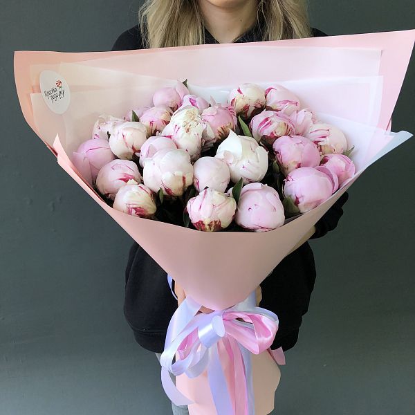 Пионы 25 шт розовые