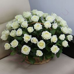 Корзина из 51 розы «Белые розы Аваланч»