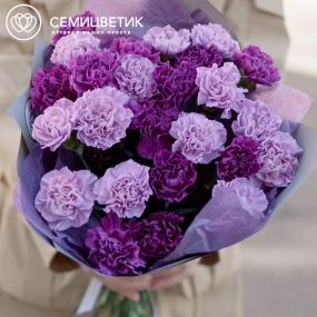 Букет из 25 сиреневых (лунных) и фиолетовых гвоздик в голубой пленке
