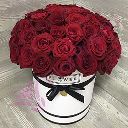 Коробка с цветами из 51 розы «Красные розы в белой коробке»