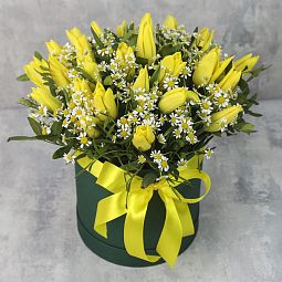 Коробка с тюльпанами «25 желтых тюльпанов с ромашкой»