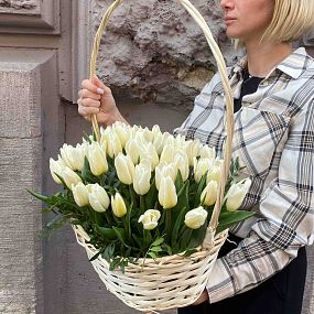 Современный букет Композиция из 51 белого тюльпана 40 см с фисташкой в корзине