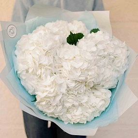 Букет из 7 белых гортензий в белой пленке