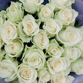 25 белых роз (Кения) 40 см Standart