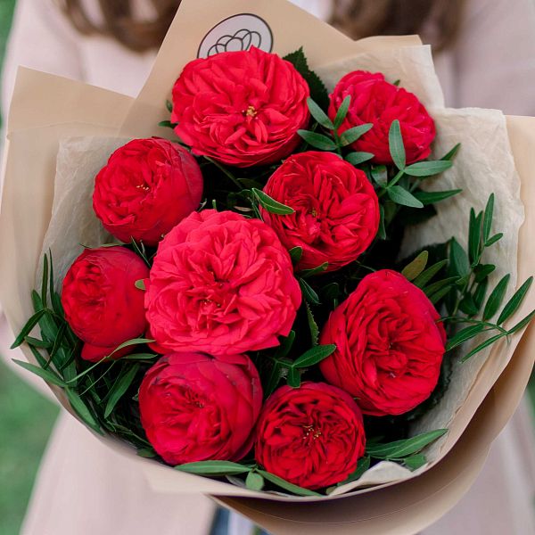 9 красных одноголовых пионовидных роз Red Piano 40 см с фисташкой