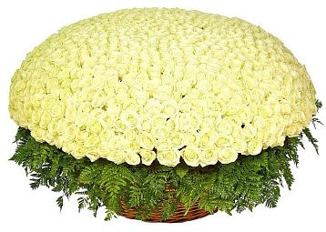 Букет «1001 белая роза Аваланч в корзине»