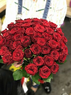 51 Бордово красная  роза