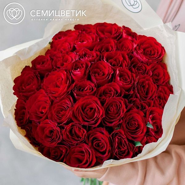 41 красная роза (Кения) 40 см Standart