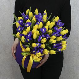 Коробка из 51 желтого тюльпана и синего ириса
