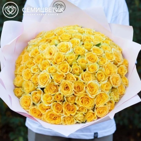 Букет из 101 желтой розы 35-40 см (Россия) в розовой пленке