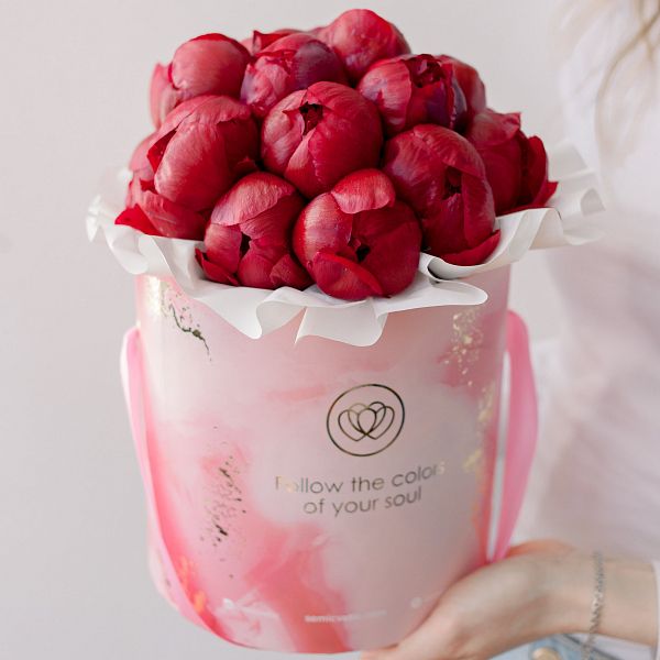 Букет в розовой шляпной коробке Amour Mini из 21 бордового пиона Standart Plus