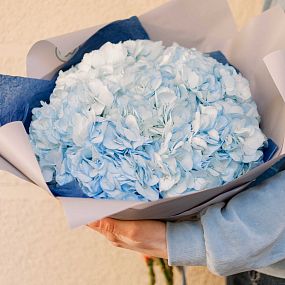 Голубой свадебный букет  из 7 голубых гортензий