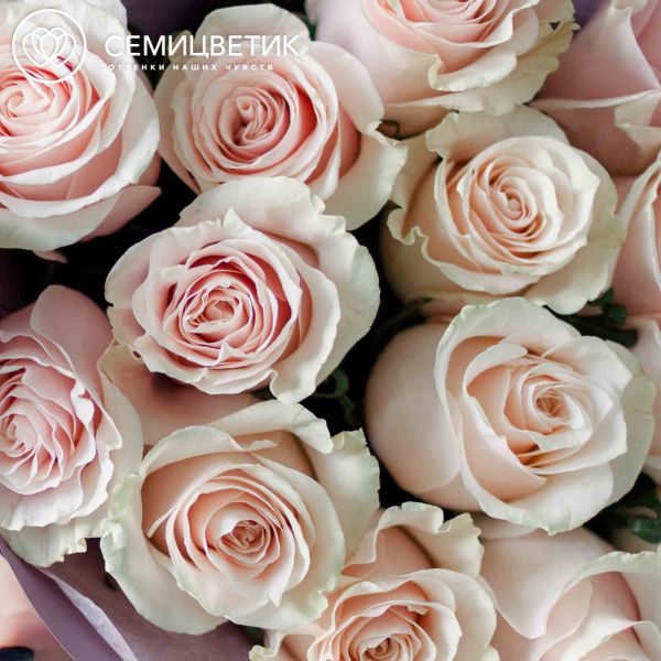 Букет из 15 нежно-розовых роз (Эквадор) 50 см Pink Mondial