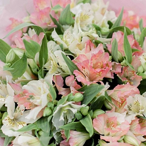 Букет из 23 розовых и белых альстромерий