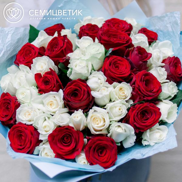 Букет из 51 красной и белой розы (Россия) 40 см