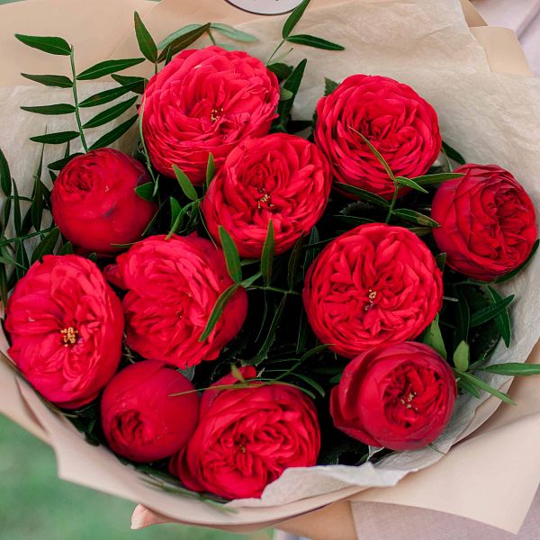 11 красных одноголовых пионовидных роз Red Piano 40 см с фисташкой