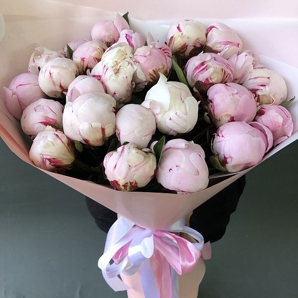 Пионы 25 шт розовые