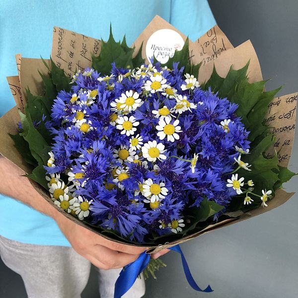 Васильки 51 шт с ромашками