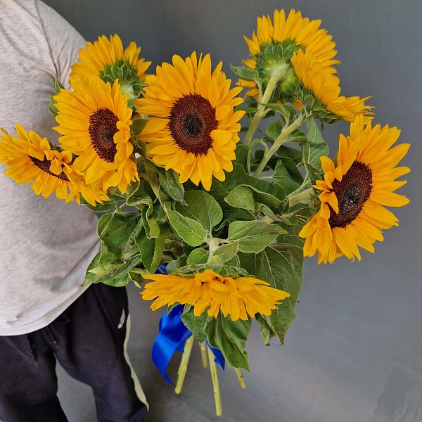 Подсолнухи 9 шт, арт 12122