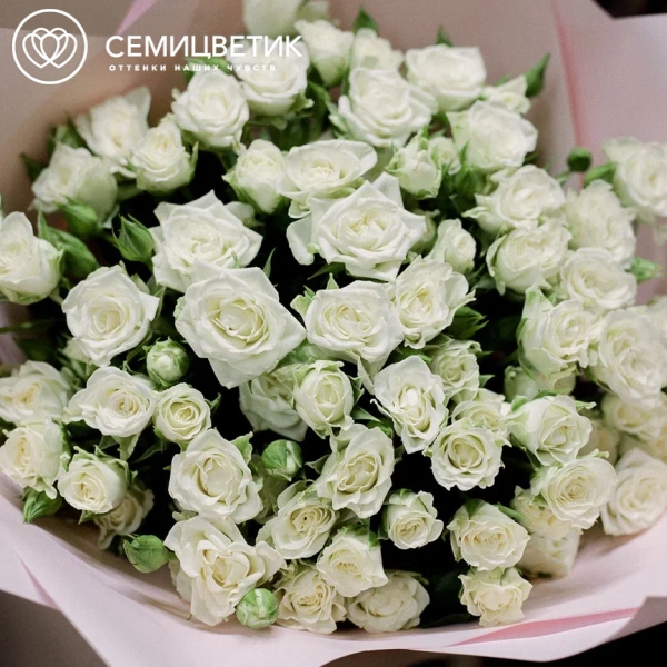 Букет из 15 белых кустовых роз 40 см (Кения)