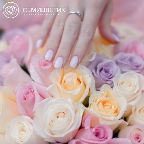 Букет из 51 розы микс в нежных тонах (Эквадор) 50 см