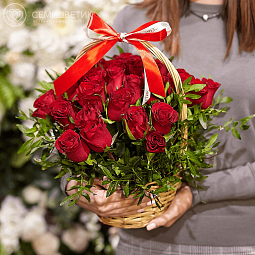 25 красных роз Standart (Кения) с зеленью в корзине
